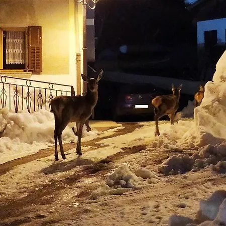 Siora Lina Lejlighed Vigo di Cadore